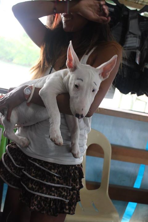 10636055_10203164292961230_3784728105759650160_n