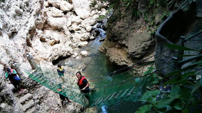 1454835_965486980131174_4773930499489294268_n