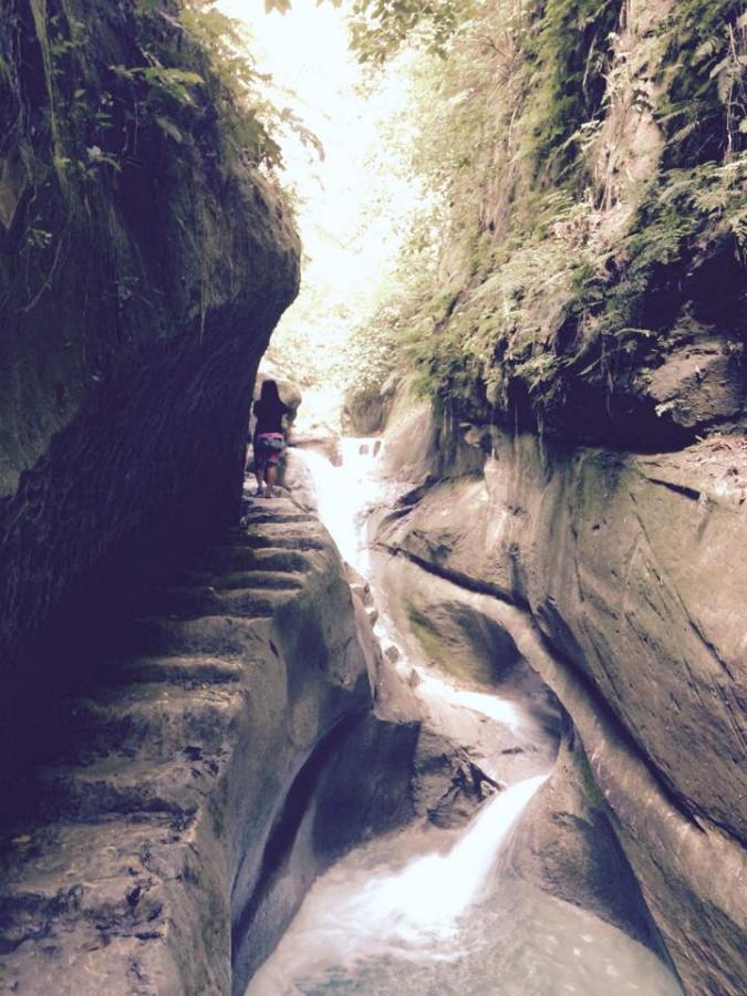 12029125_10205010978847223_221050174_n