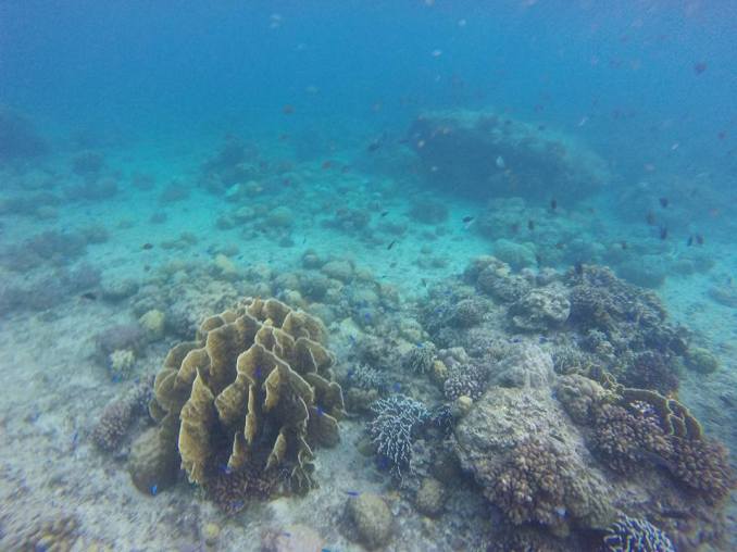 12191862_10205438438382564_1197189807373458479_n