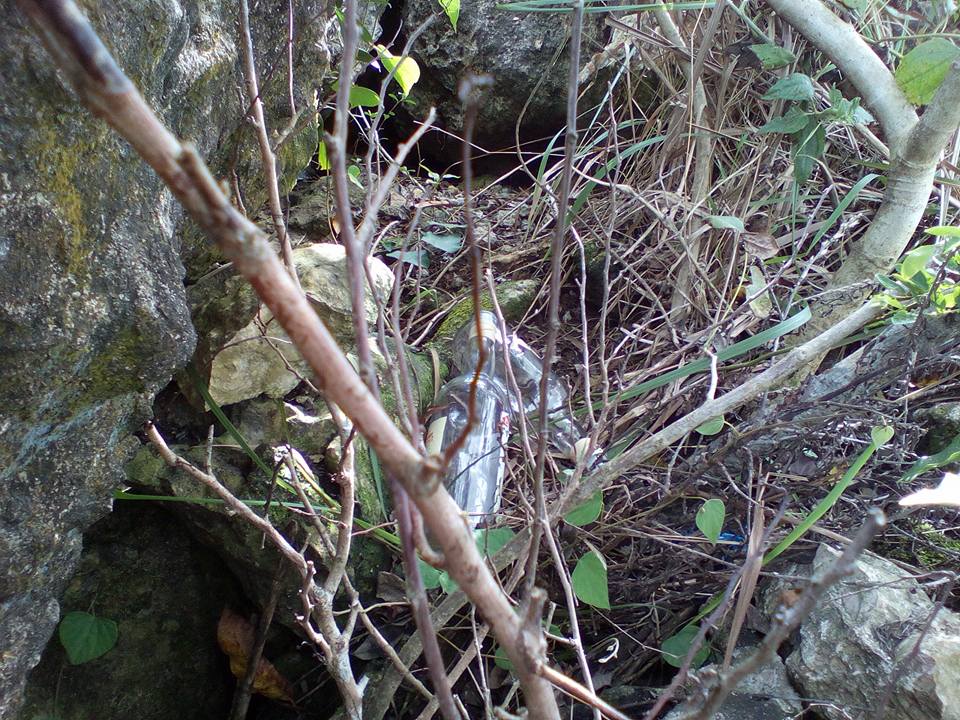 12310636_920858884616242_6417167751326542289_n