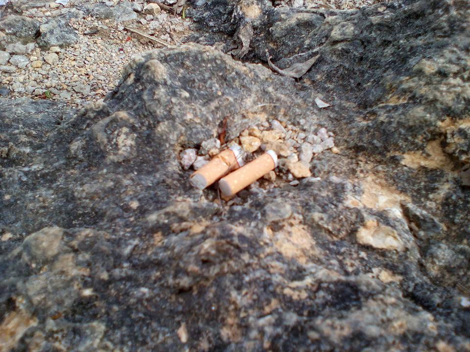 12314080_920858841282913_7474583965496312878_n