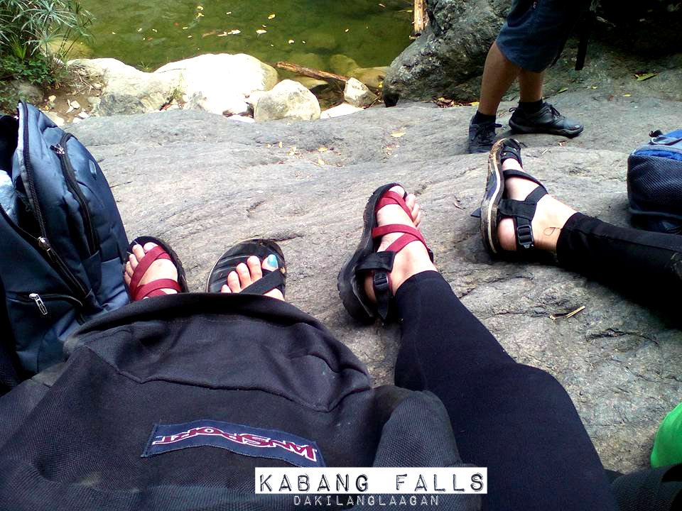 12573187_946879462014184_7808042762037639939_n