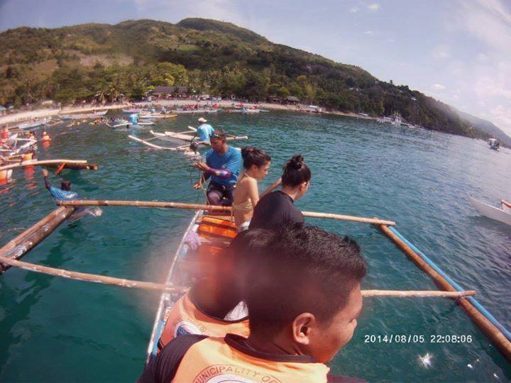 Oslob, whaleshark, diving, adventures to do in cebu, rockclimbing, diving, hiking, zipline, dakilanglaagan