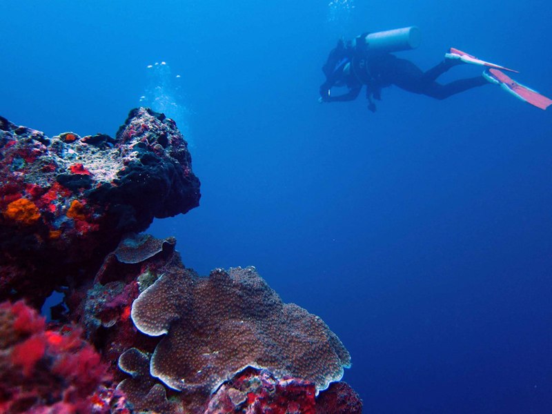 14593415_120300000449976692_104958576_n