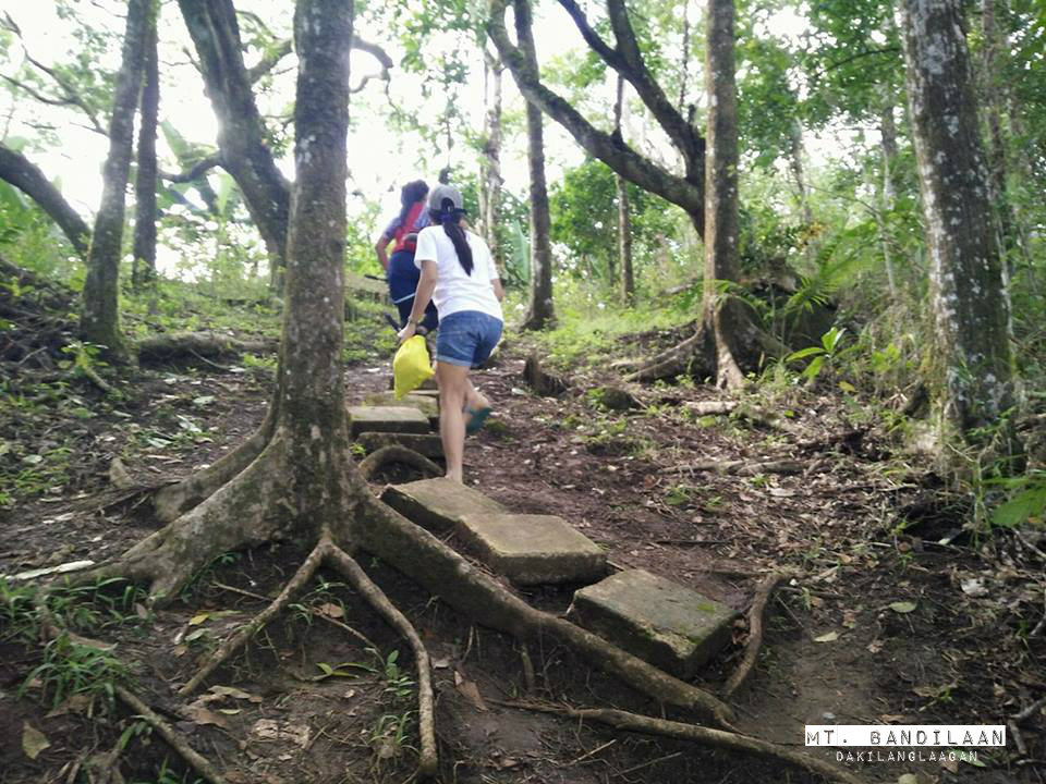 15782477_10205904489211475_1414216034_n