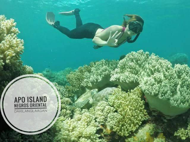 18402830_1321721961196597_7553201439574825917_n