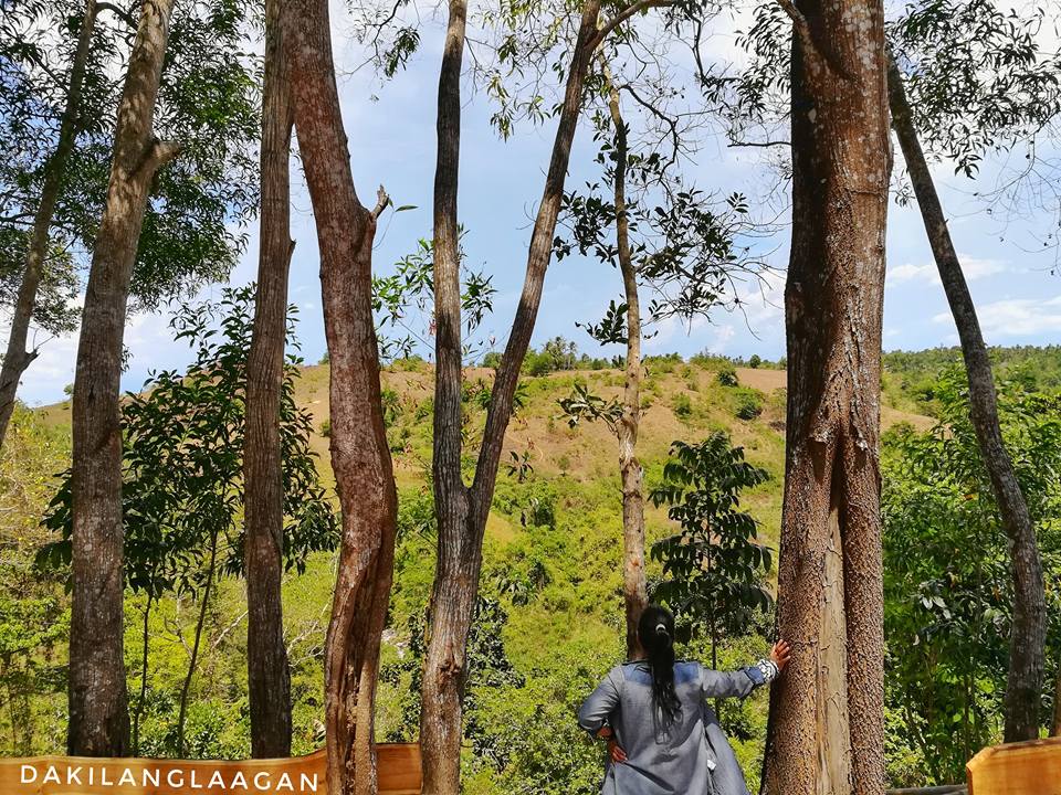 18485469_1321720871196706_2129169478258878407_n