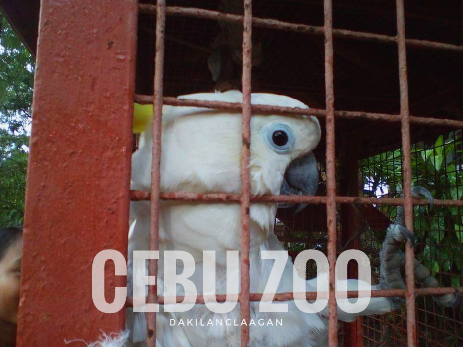 FB_IMG_1497483183297-01-01