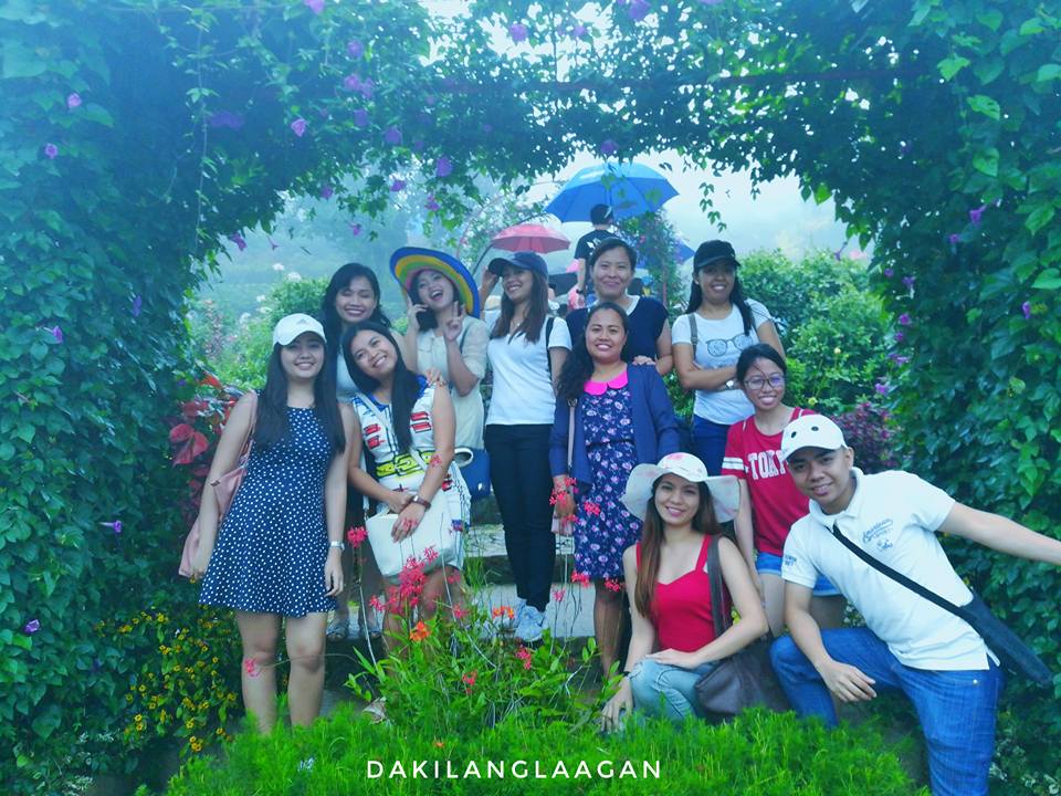 21370998_1427567003945425_138313971263596477_n