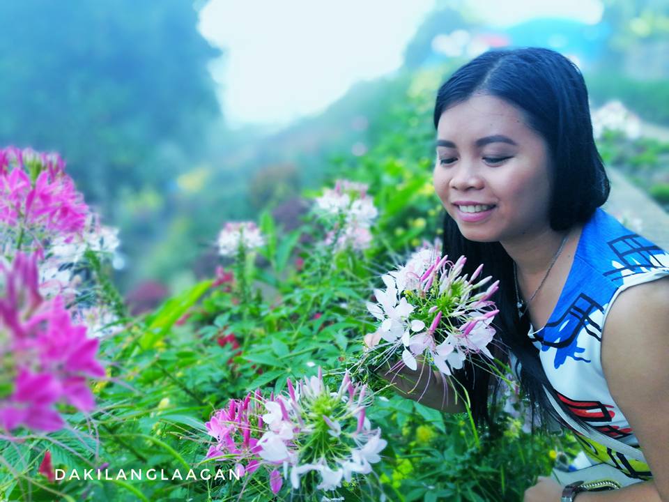 21371129_1427568530611939_6188600439233669074_n