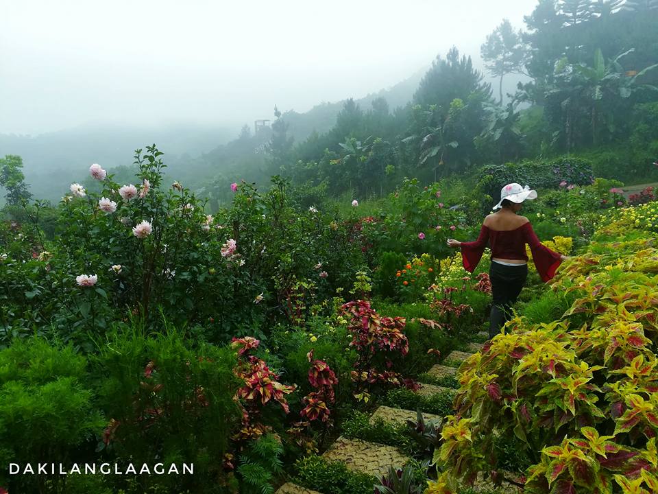 21371315_1427568317278627_6201917885809241863_n