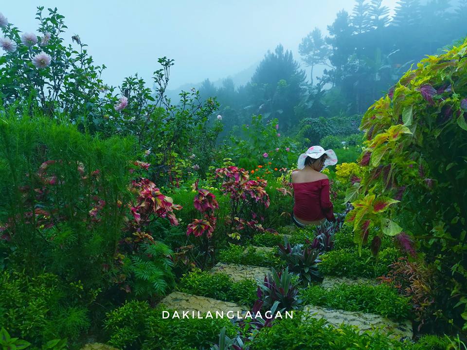 21433210_1427568480611944_5077560413071010416_n