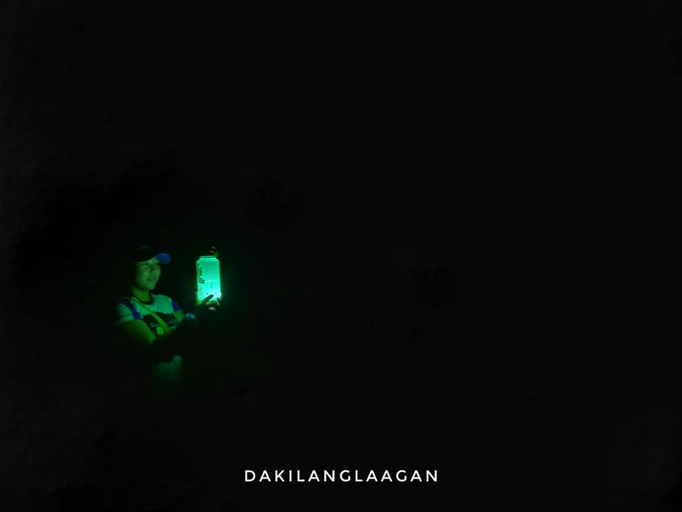 22007930_1440724125963046_3505923484345103846_n