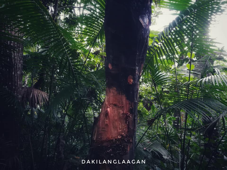 22046462_1440722285963230_3096511738644123361_n