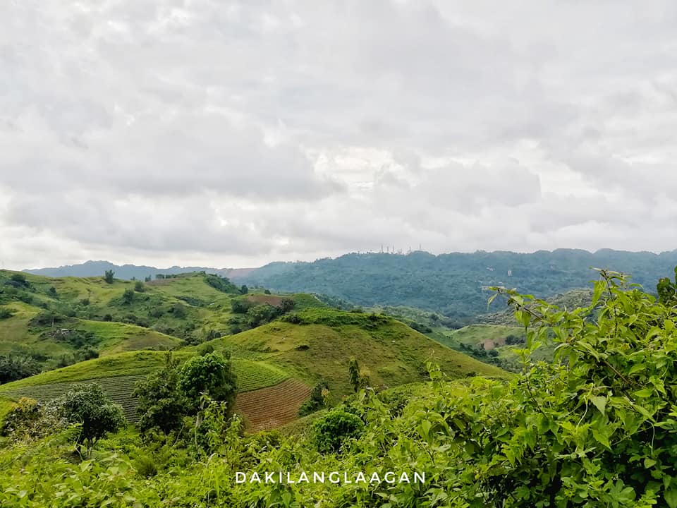 22046582_1440721609296631_7103133478493205528_n