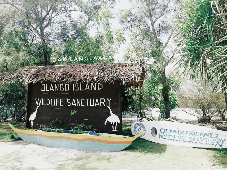 22449691_1456852907683501_272036447567308572_n