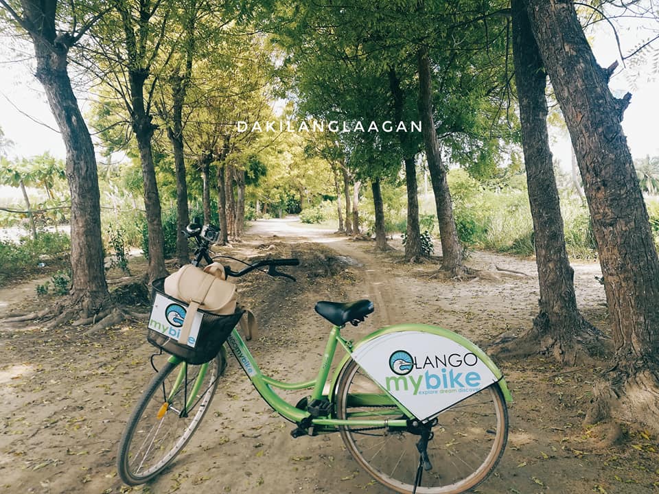 22489699_1456852811016844_1082741175018141698_n