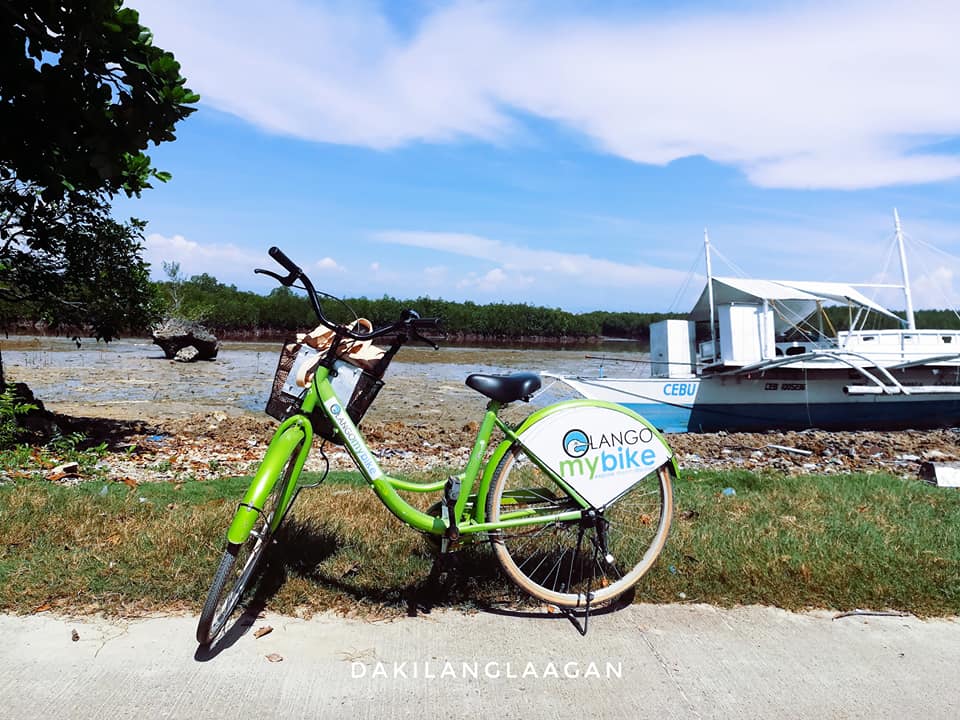 22489878_1456853827683409_8627048269225002131_n