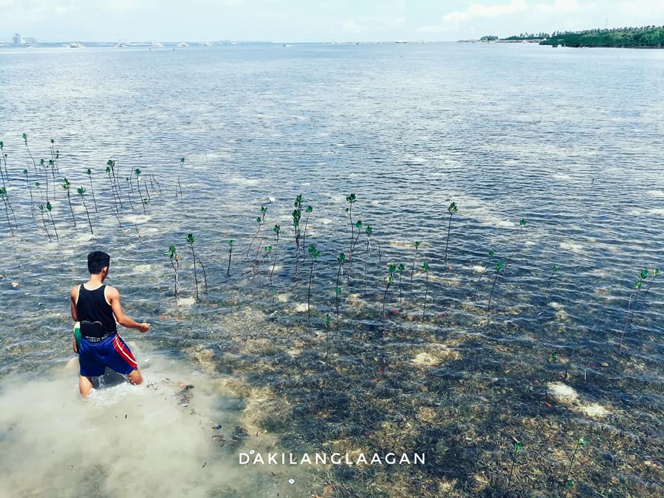 22490176_1456853061016819_88464463796434011_n