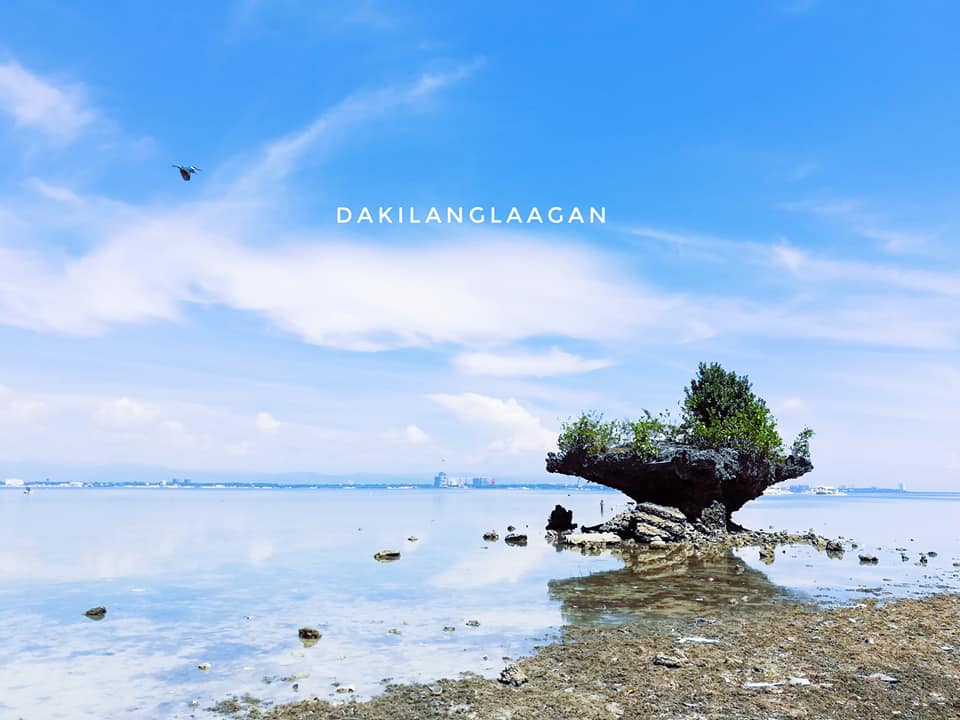 22491674_1456853417683450_5570295566401285873_n