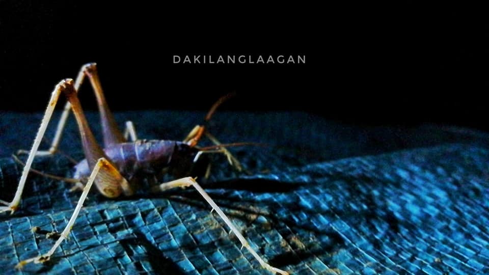 Langun-Gobingob Cave System, Calbiga Samar, Philippines' Biggest Cave System, dakilanglaagan, camping, camping inside a cave