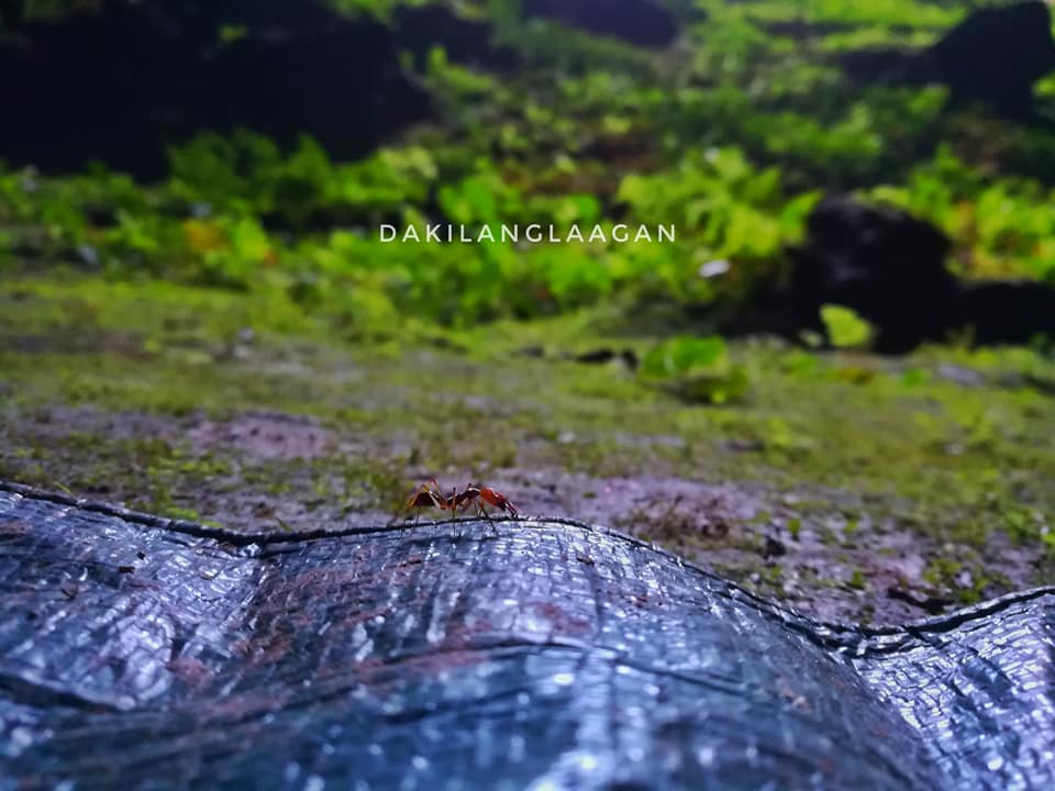 Langun-Gobingob Cave System, Calbiga Samar, Philippines' Biggest Cave System, dakilanglaagan, camping, camping inside a cave