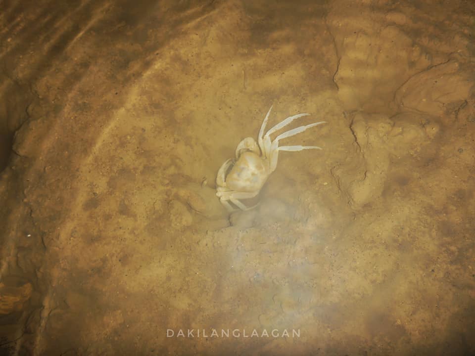 Langun-Gobingob Cave System, Calbiga Samar, Philippines' Biggest Cave System, dakilanglaagan, camping, camping inside a cave