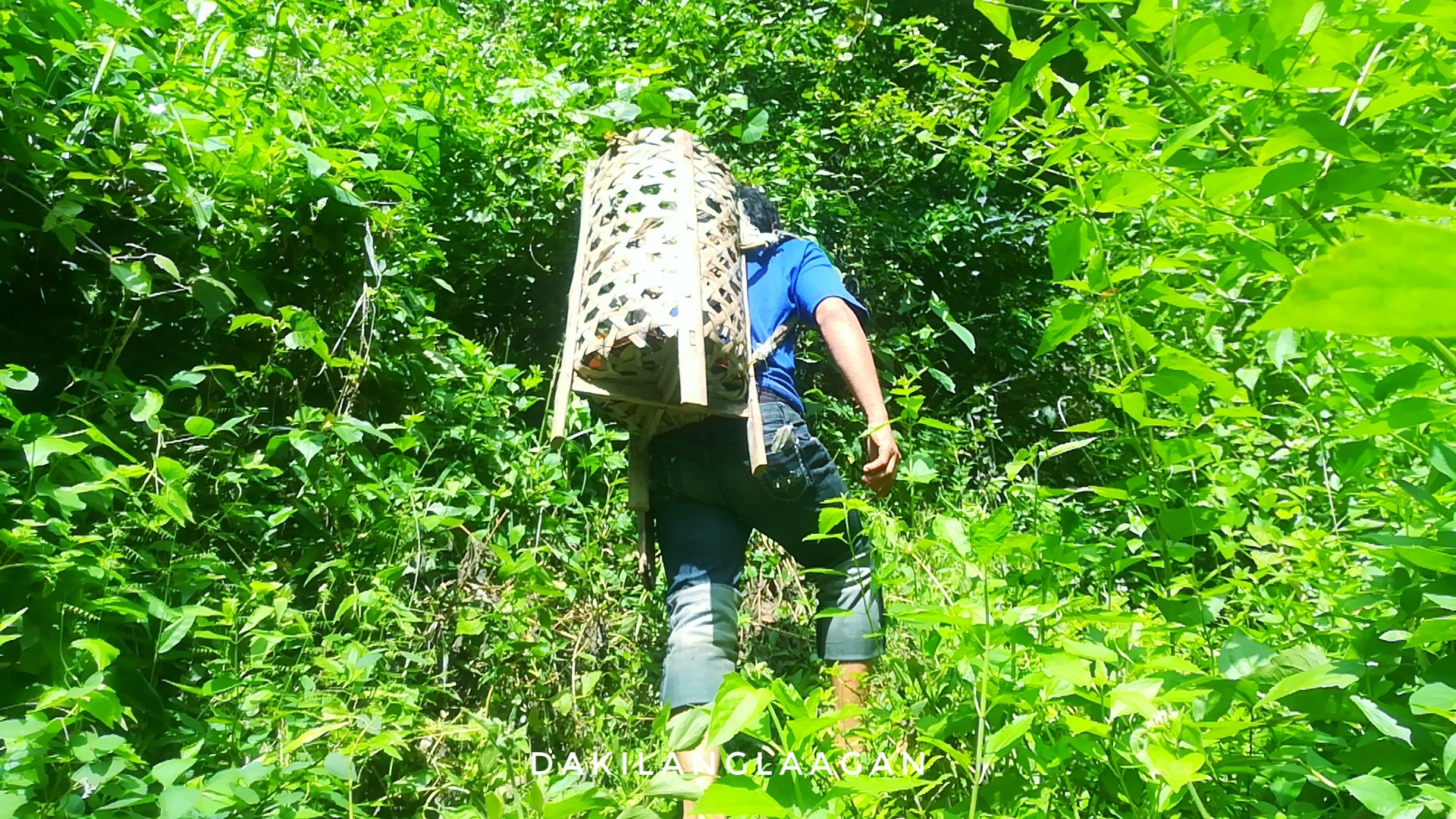 Matun-og Falls, Minglanilla Cebu