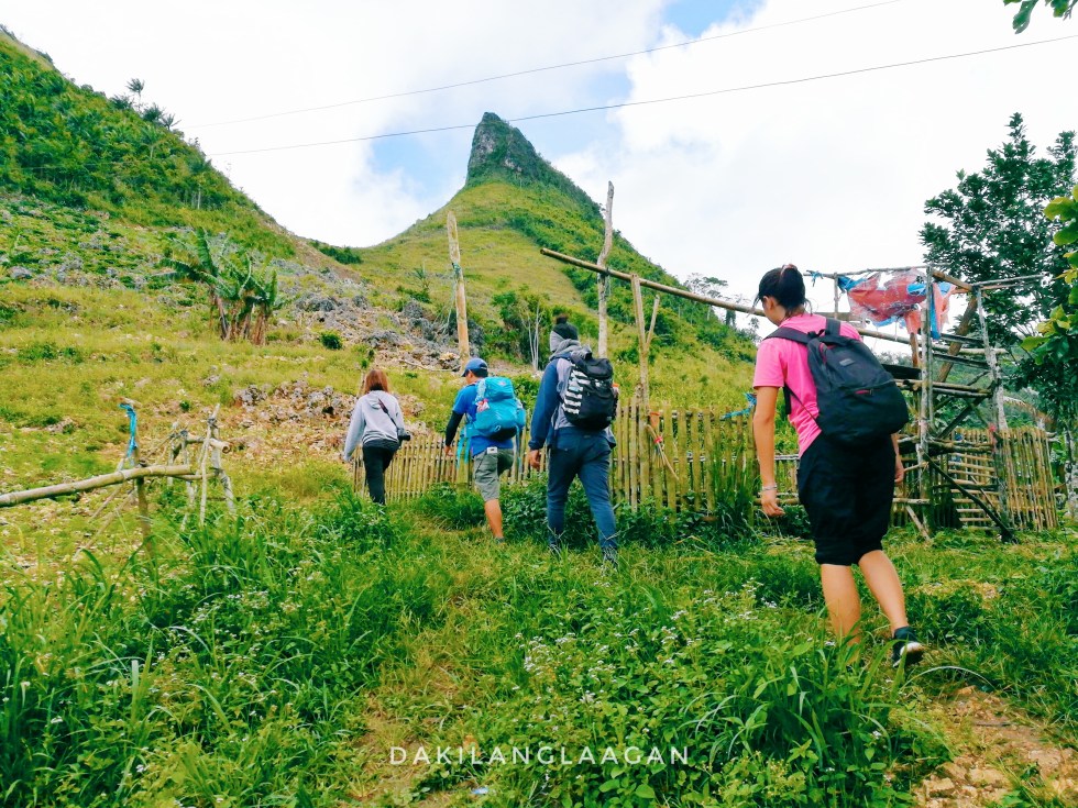 2017-10-18 11.53.39 1-01.jpeg