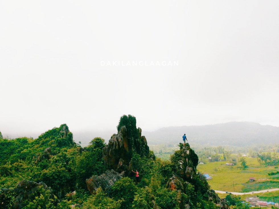 2017-10-18 11.53.40 2-01.jpeg