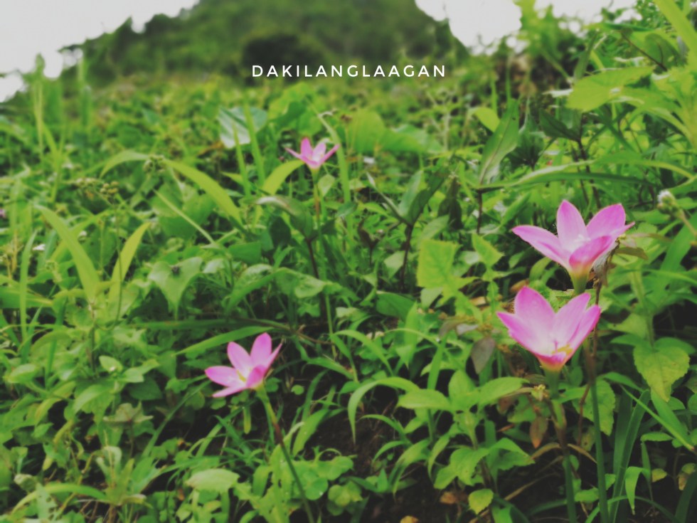 2017-10-18 11.53.41 1-01.jpeg