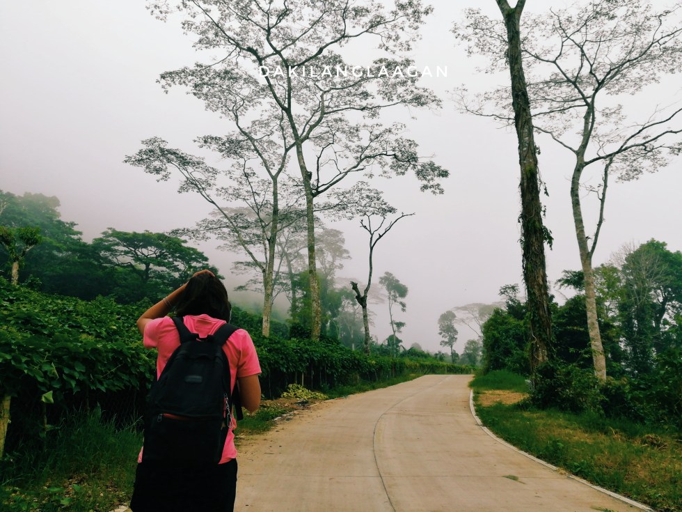 2017-10-18 11.53.42 1-01.jpeg