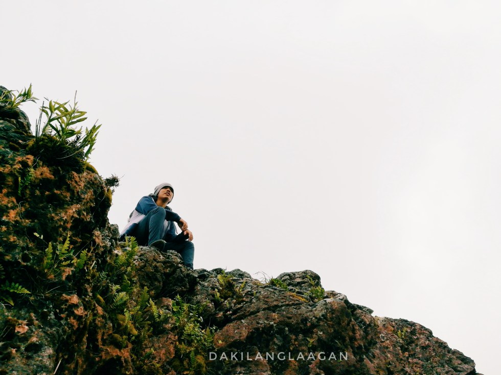 2017-10-18 11.53.44 1-01.jpeg