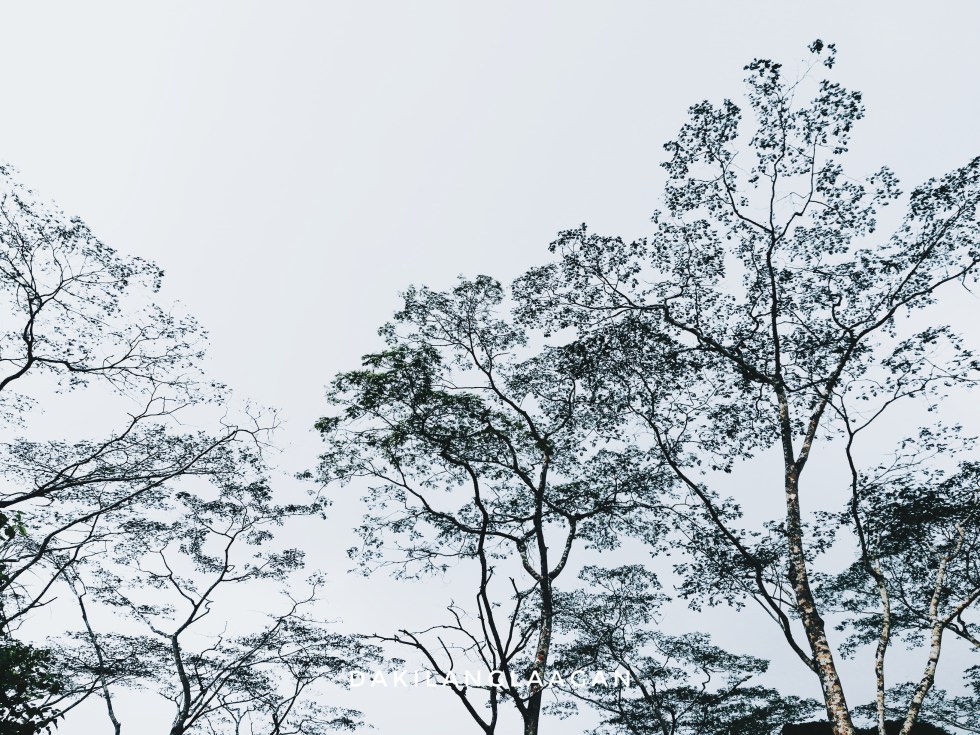 2017-10-18 11.53.48 1-01.jpeg