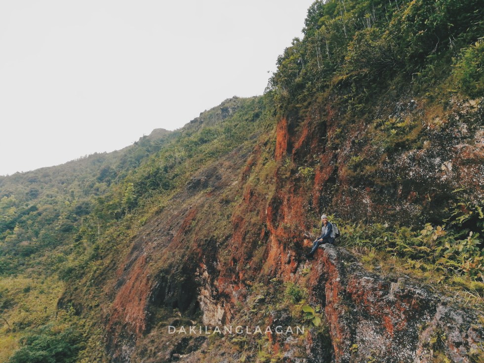 2017-10-18 11.53.49 1-01.jpeg