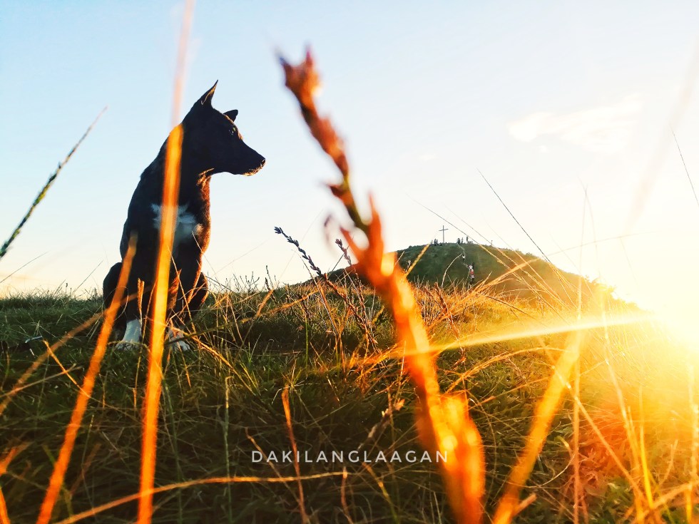 2018-04-16 09.10.35 1-01.jpeg