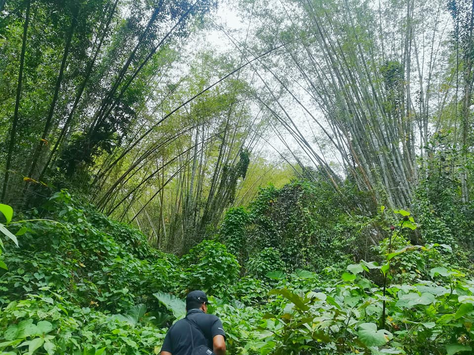 23843595_1612430805459043_4093307082673152554_n