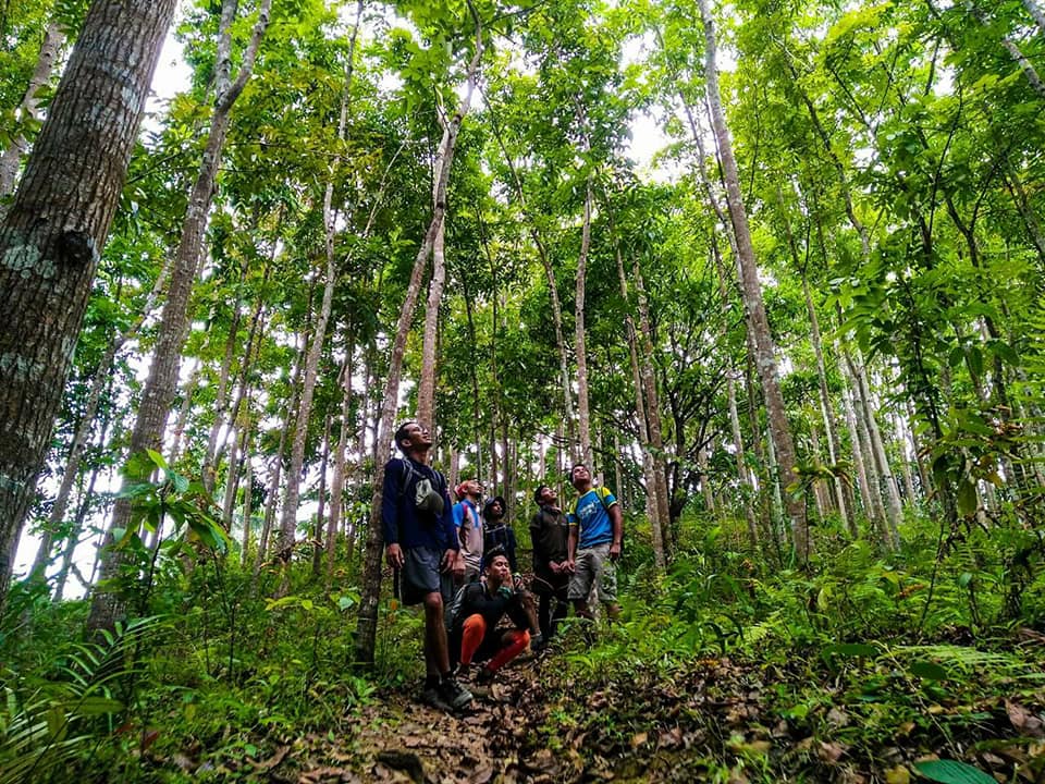 29572218_1612430085459115_3756468961738962967_n