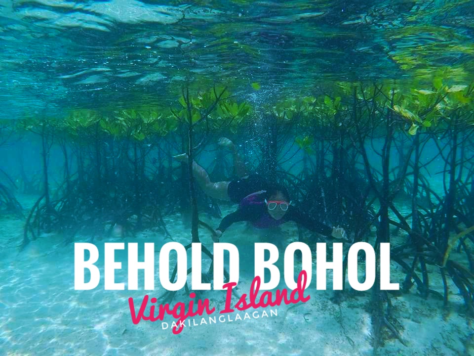 received_2257257520951398-01