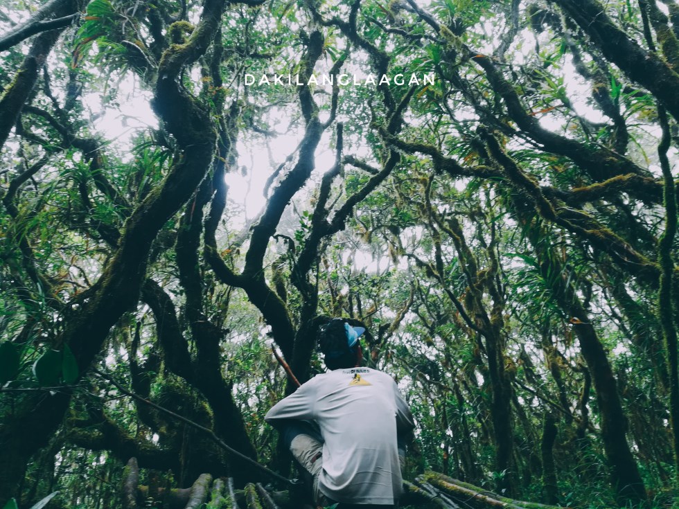 2018-06-10 11.42.57 1-01.jpeg