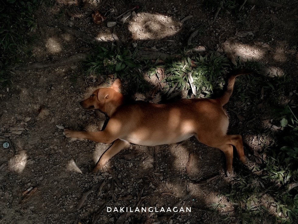 2018-06-16 03.07.39 1-01.jpeg