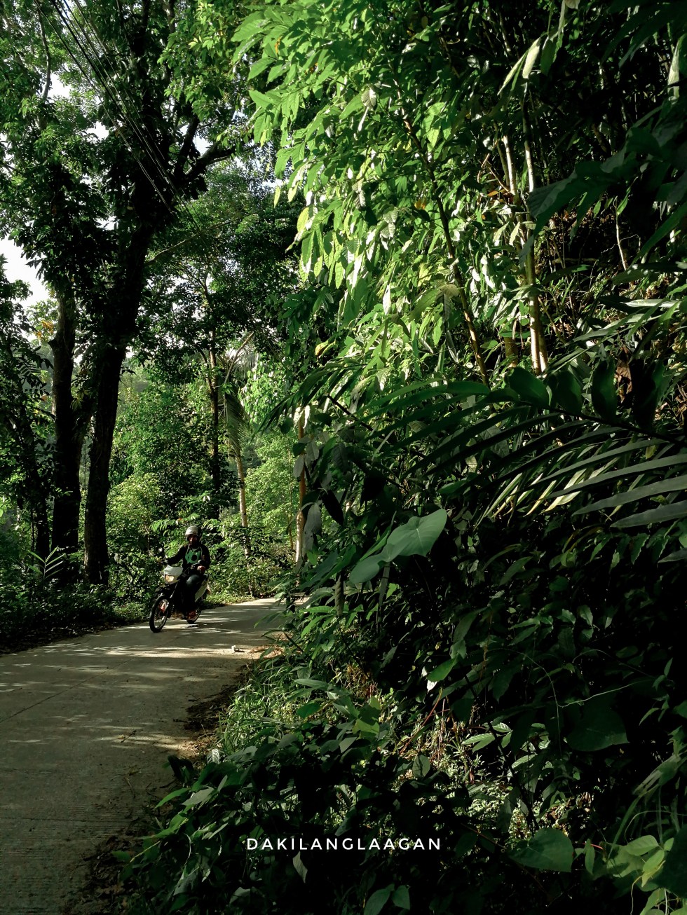 2018-06-16 03.07.43 1-01.jpeg