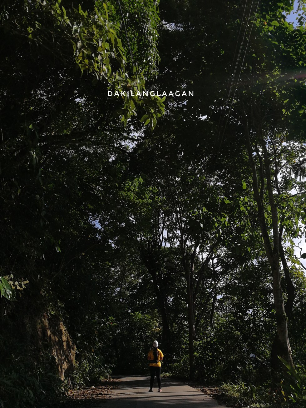 2018-06-16 03.07.46 1-01.jpeg