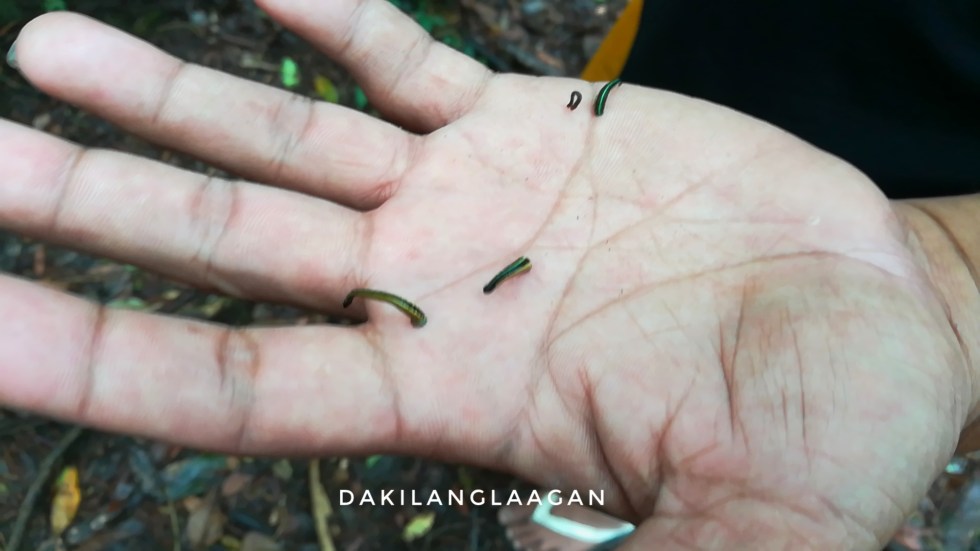 2017-10-13 06.16.30 1-01.jpeg