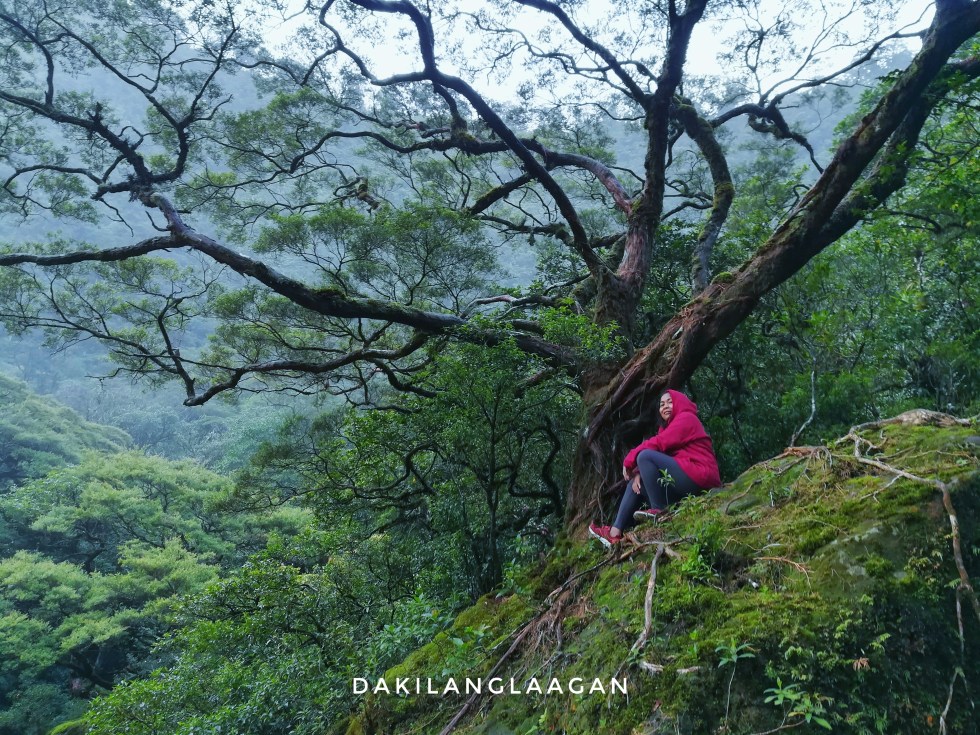 2017-10-13 06.16.50 1-01.jpeg