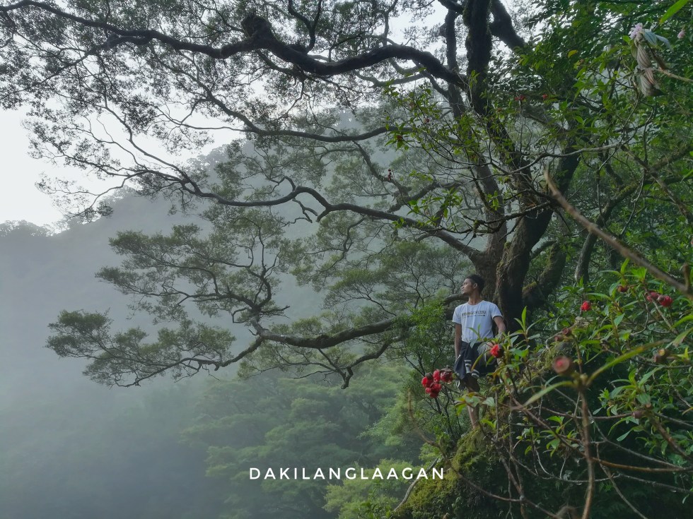 2017-10-13 06.17.12 1-01.jpeg