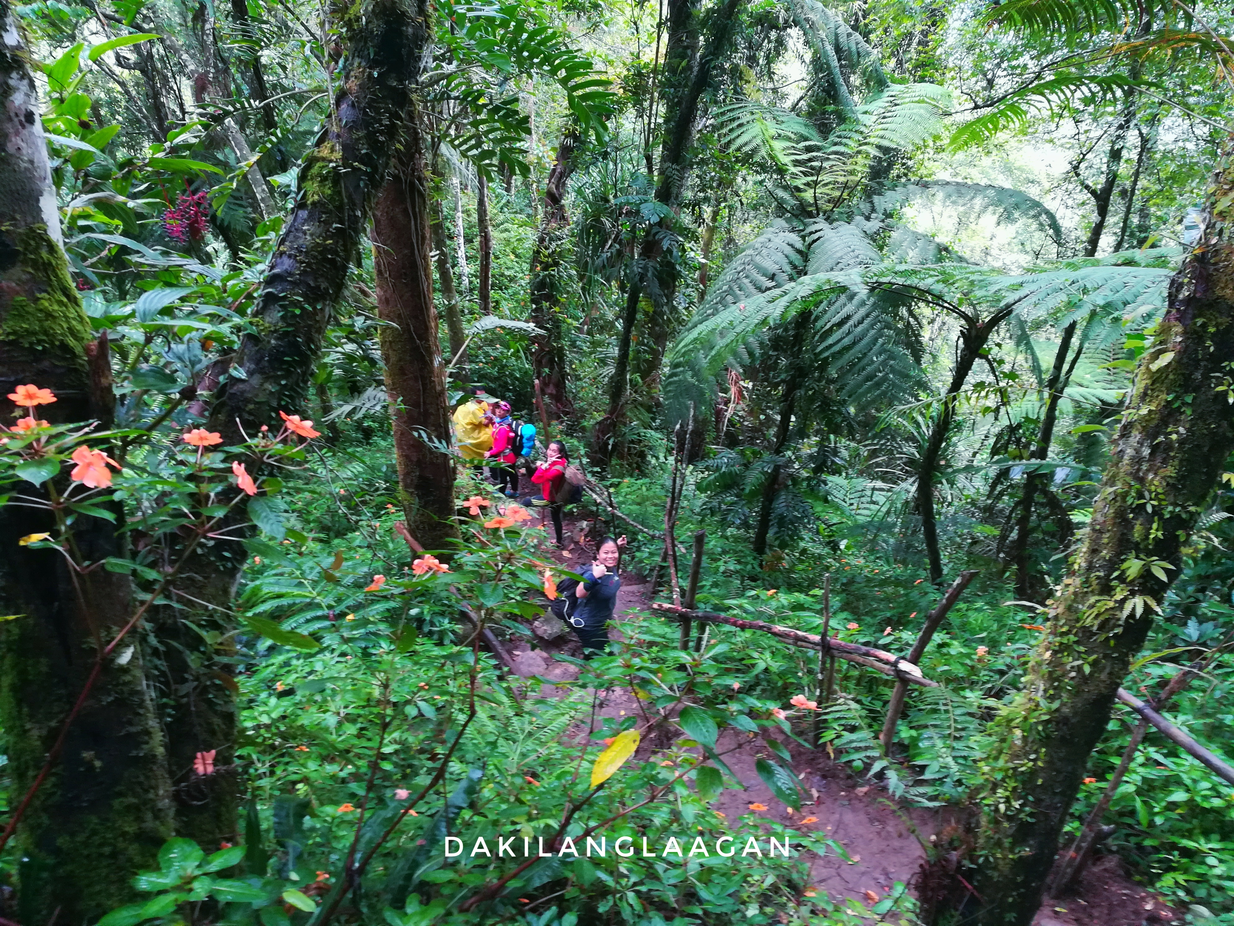 Lake Holon, tboli house, tbolo, wild pig, travel philippines, how to get to lake holon, mt. melibengoy, philippines, dakilanglaagan, kule, salacafe