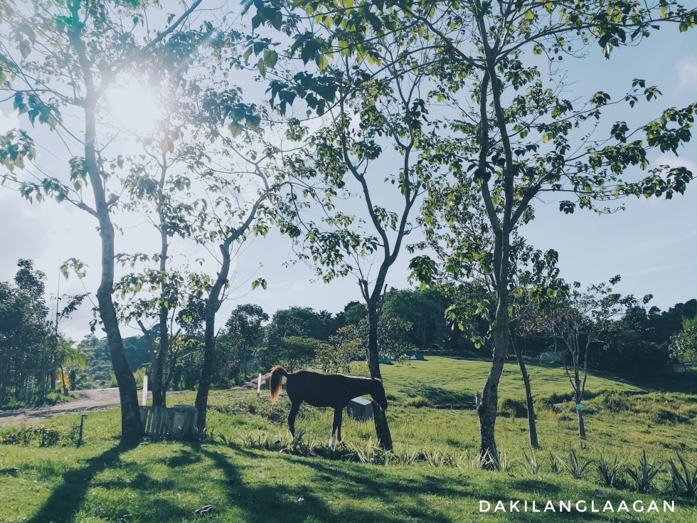 2017-11-19 09.06.30 1-01.jpeg