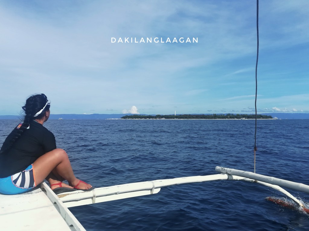 Everything you need to know about Isola de Francisco